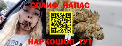 сатива Обь