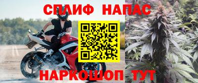 шишки Обнинск