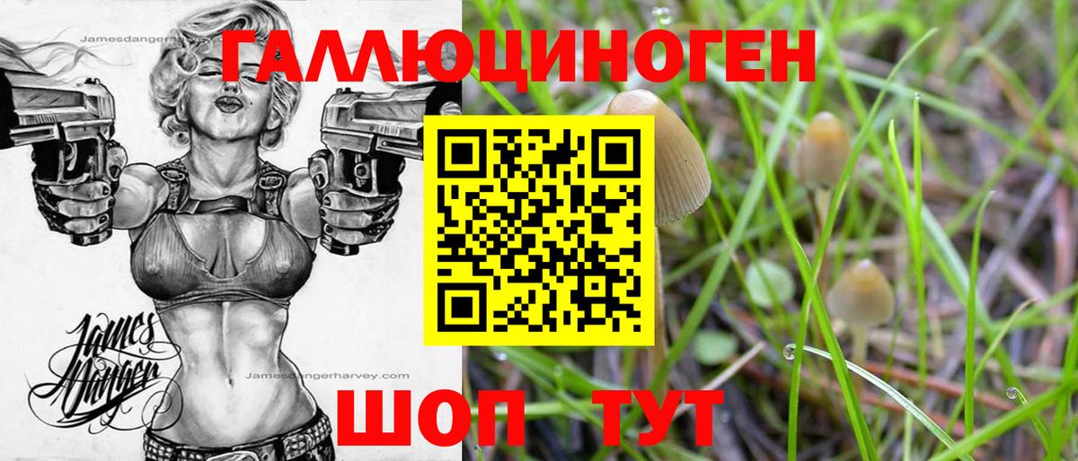 Галлюциногенные грибы Psilocybe  Вход с VPN  Петропавловск-Камчатский 